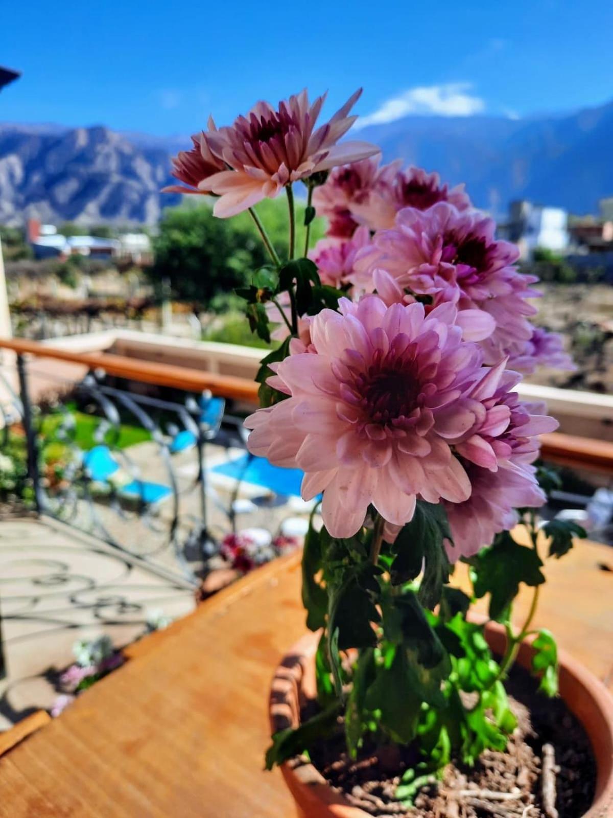 Luna De Cafayate Hotel Boutique Eksteriør bilde